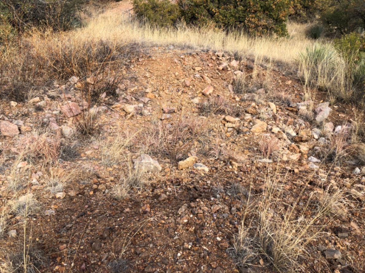 surface prospect 1