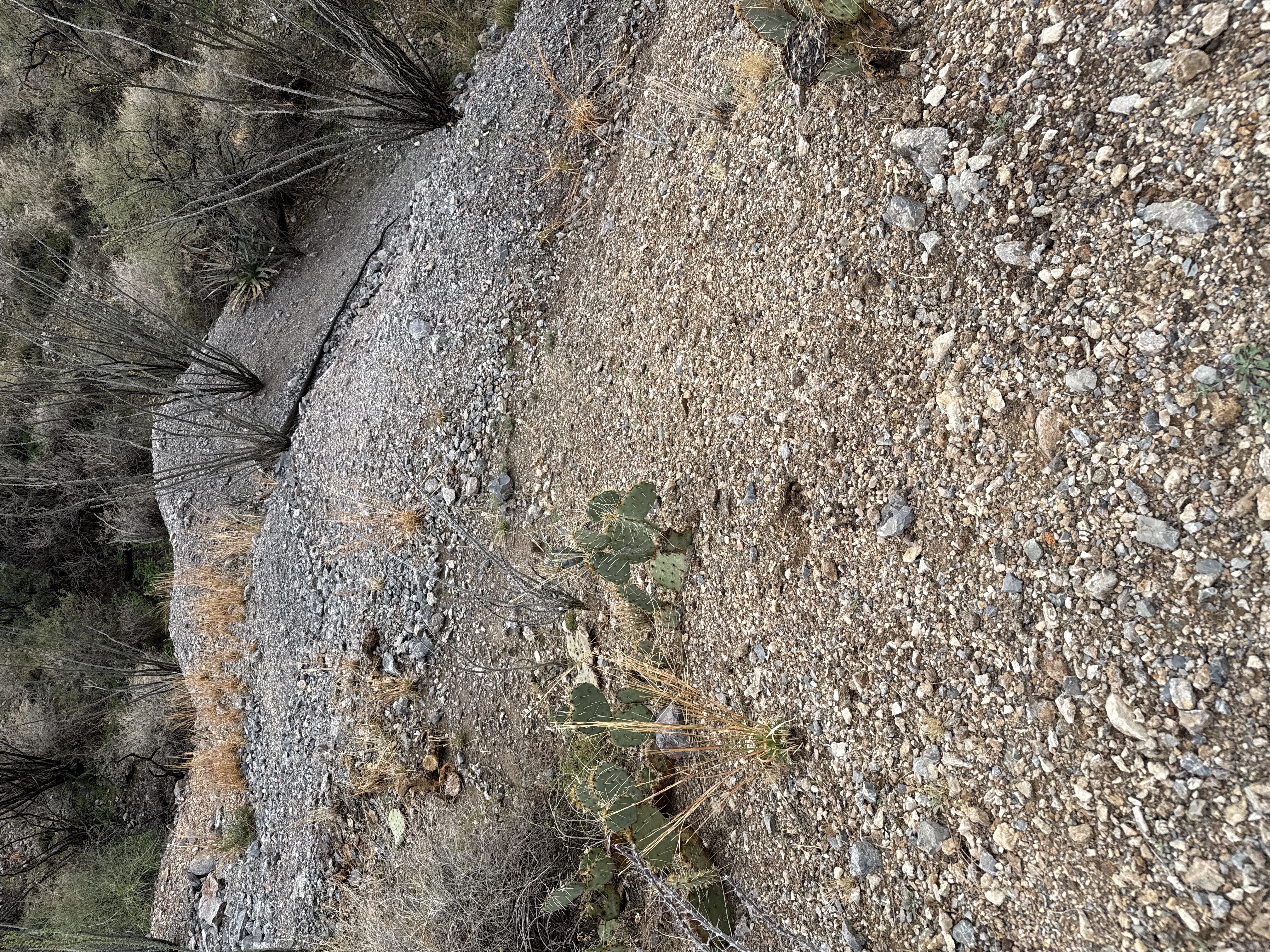 tailings image not found