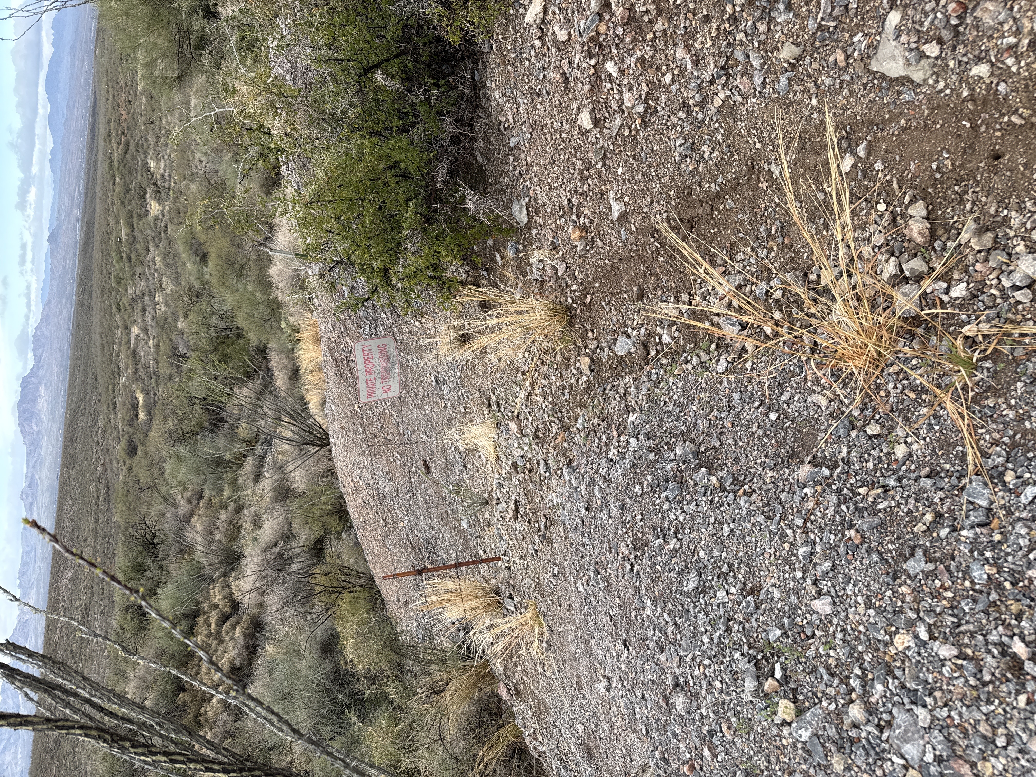 tailings image not found
