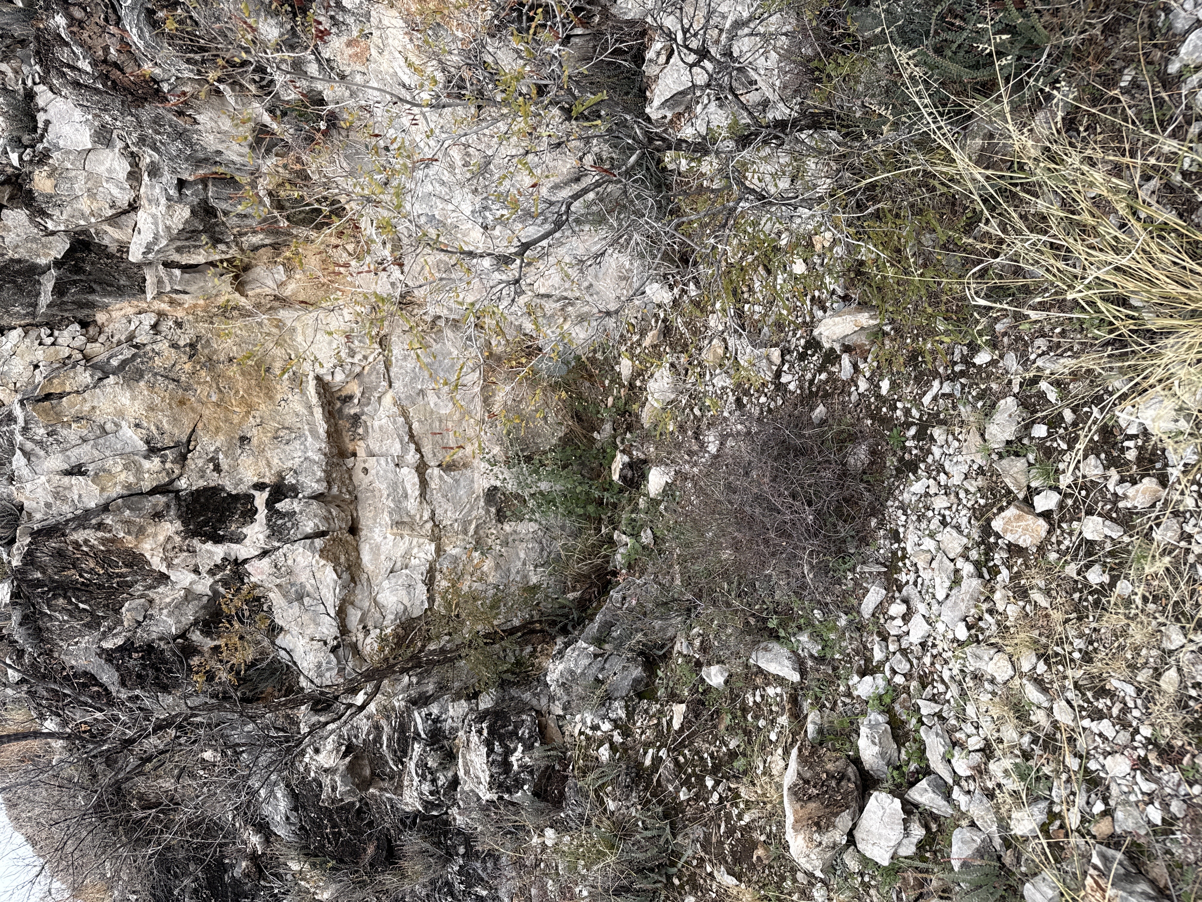 diggings image not found