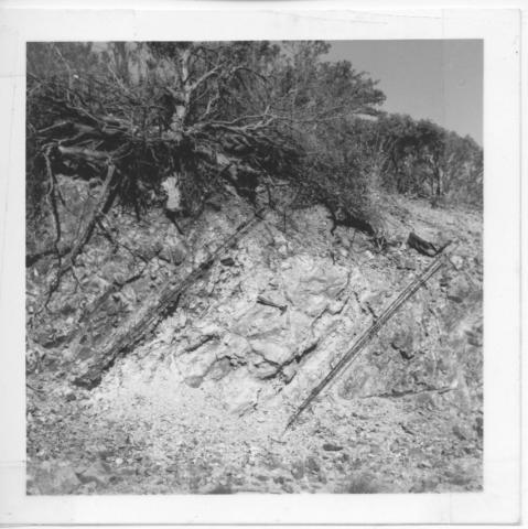 Blue Nose Mine photo not found