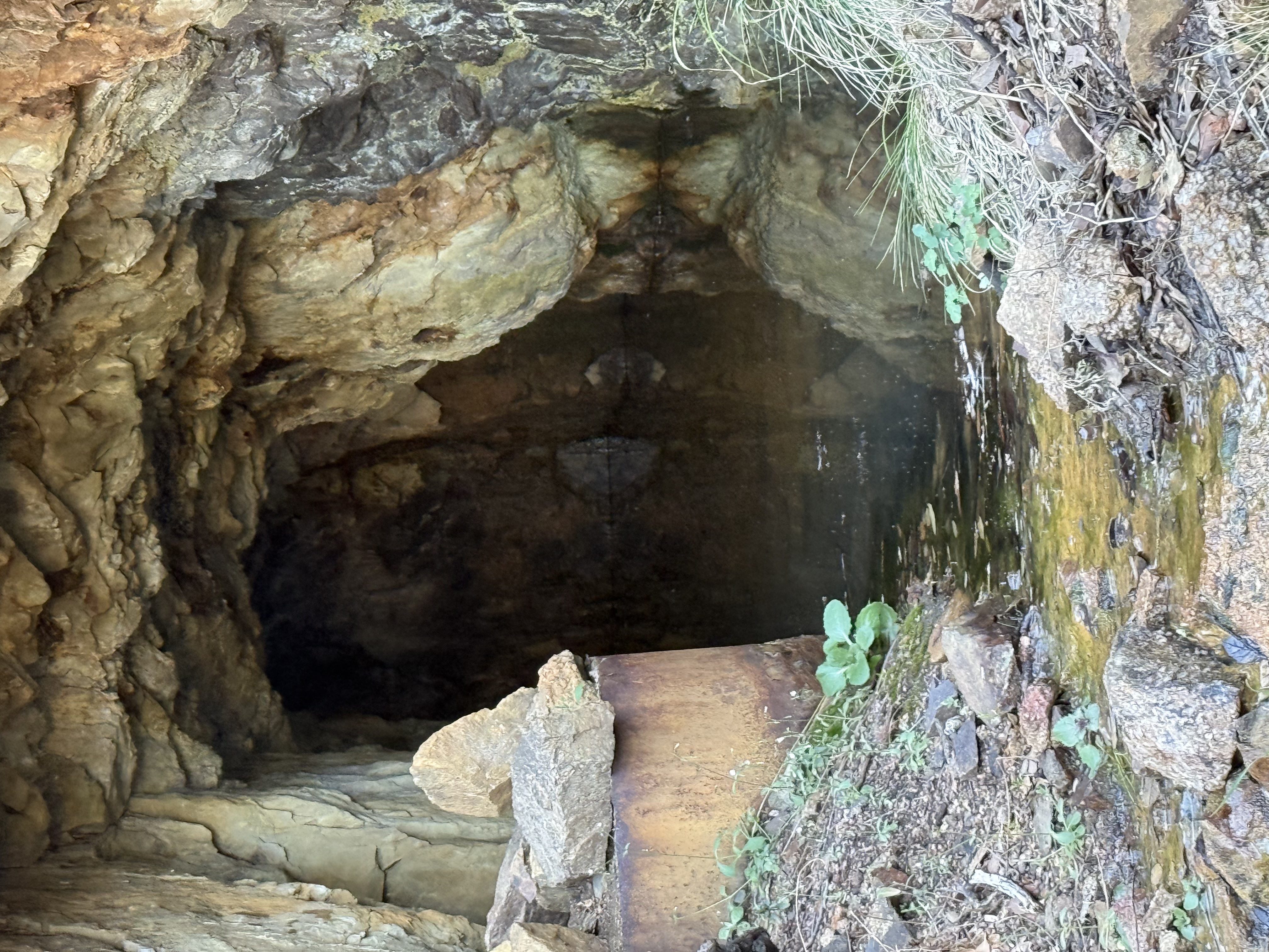 Montosa Canyon image not found