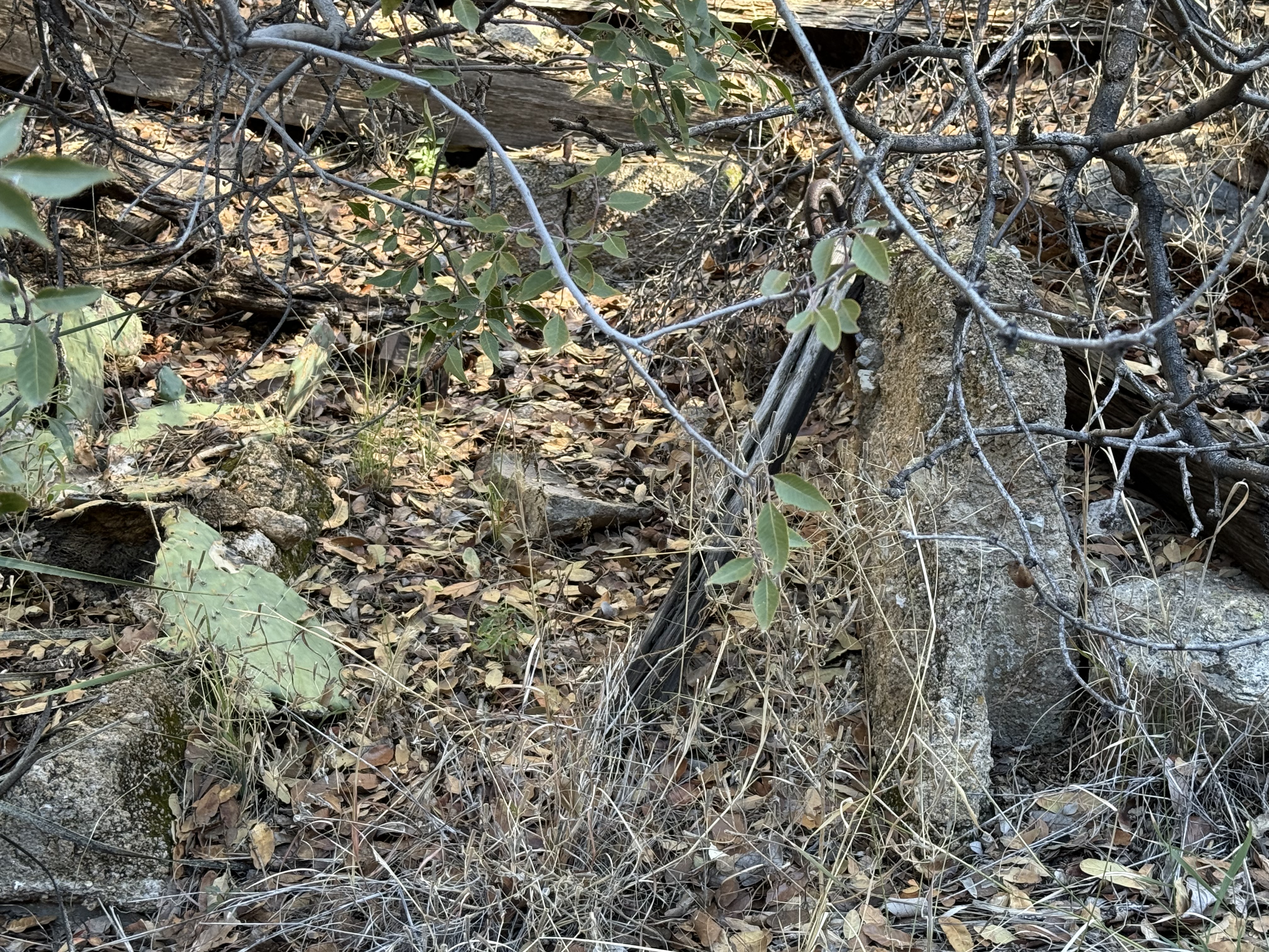 Montosa Canyon image not found