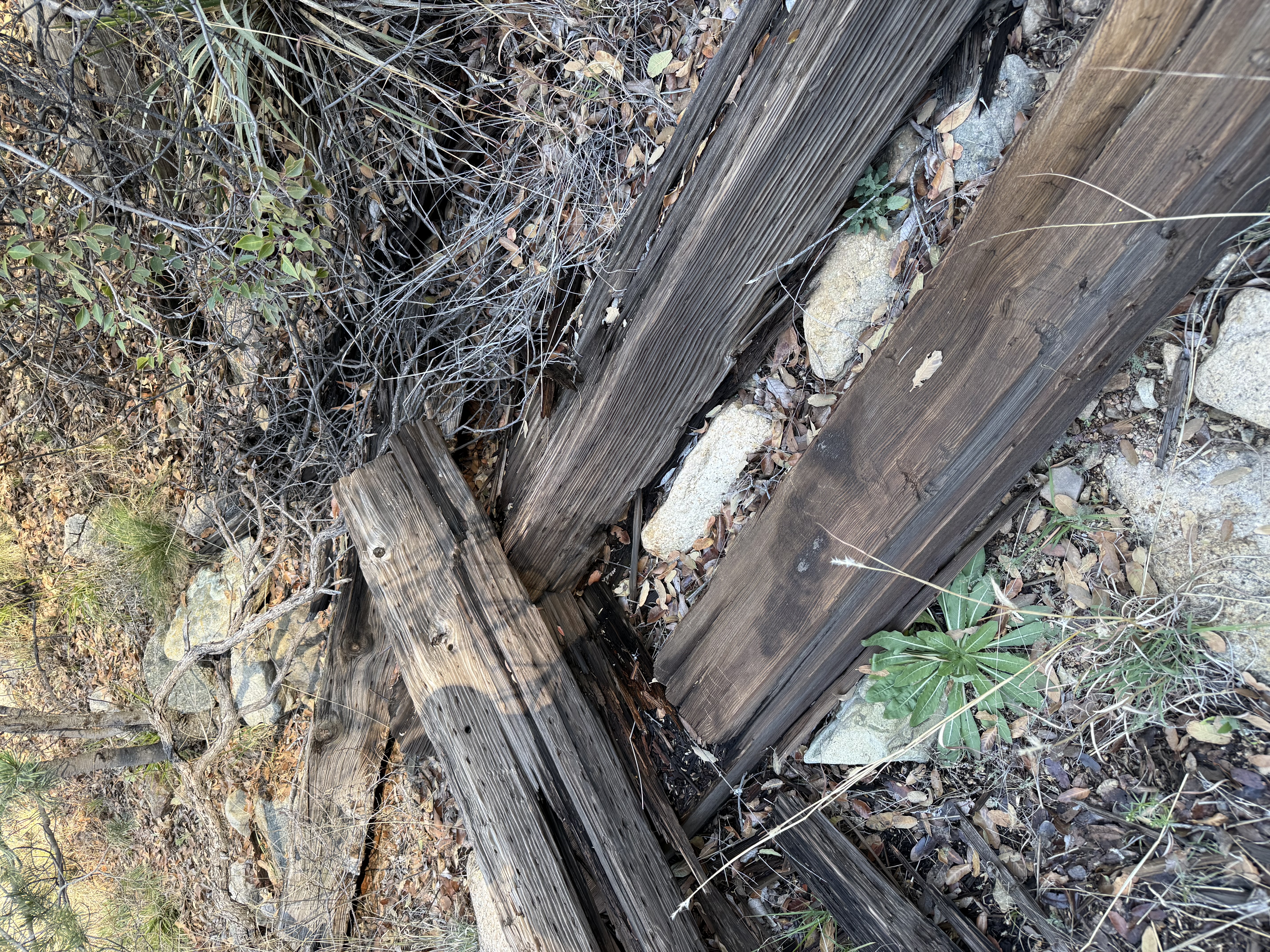 Montosa Canyon image not found