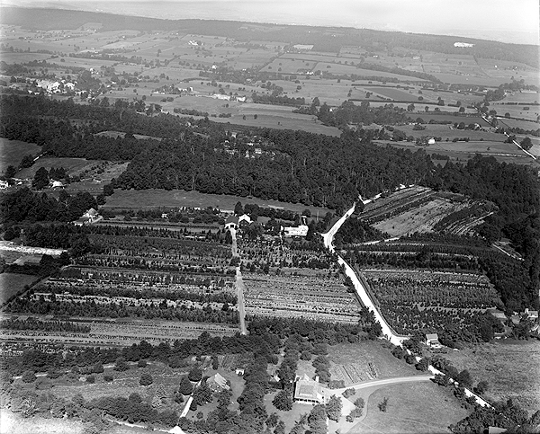 Doyle&rsquo;s Nursery