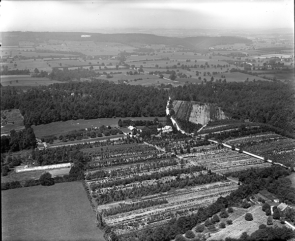 Doyle&rsquo;s Nursery