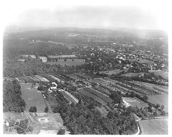 Doyle&rsquo;s Nursery