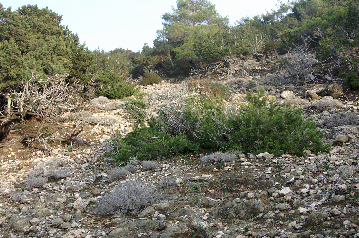 Akamas Peninsula