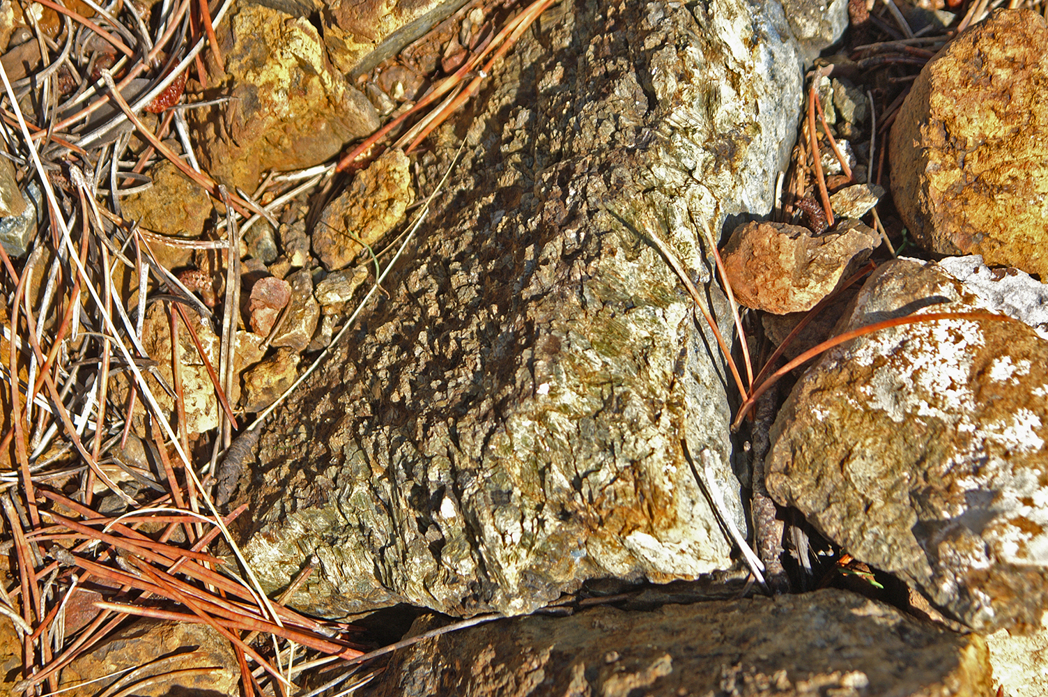 Serpentized Rock