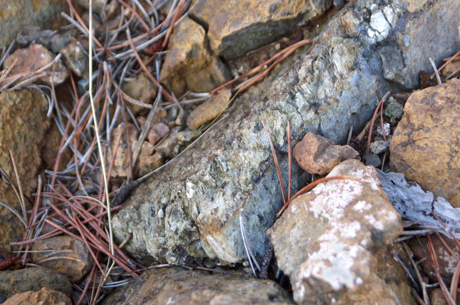 Serpentized Rock