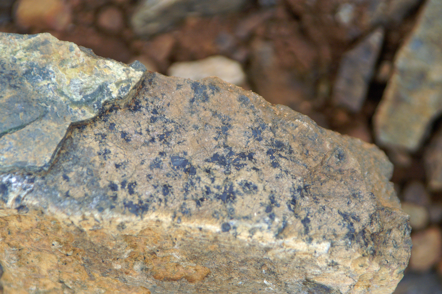 Mineral