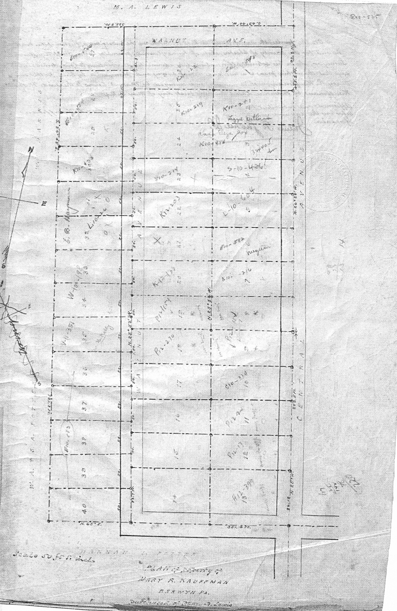 Kauffman tract