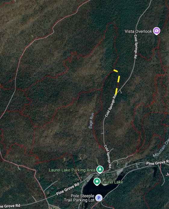 CSForestroad1 image not found