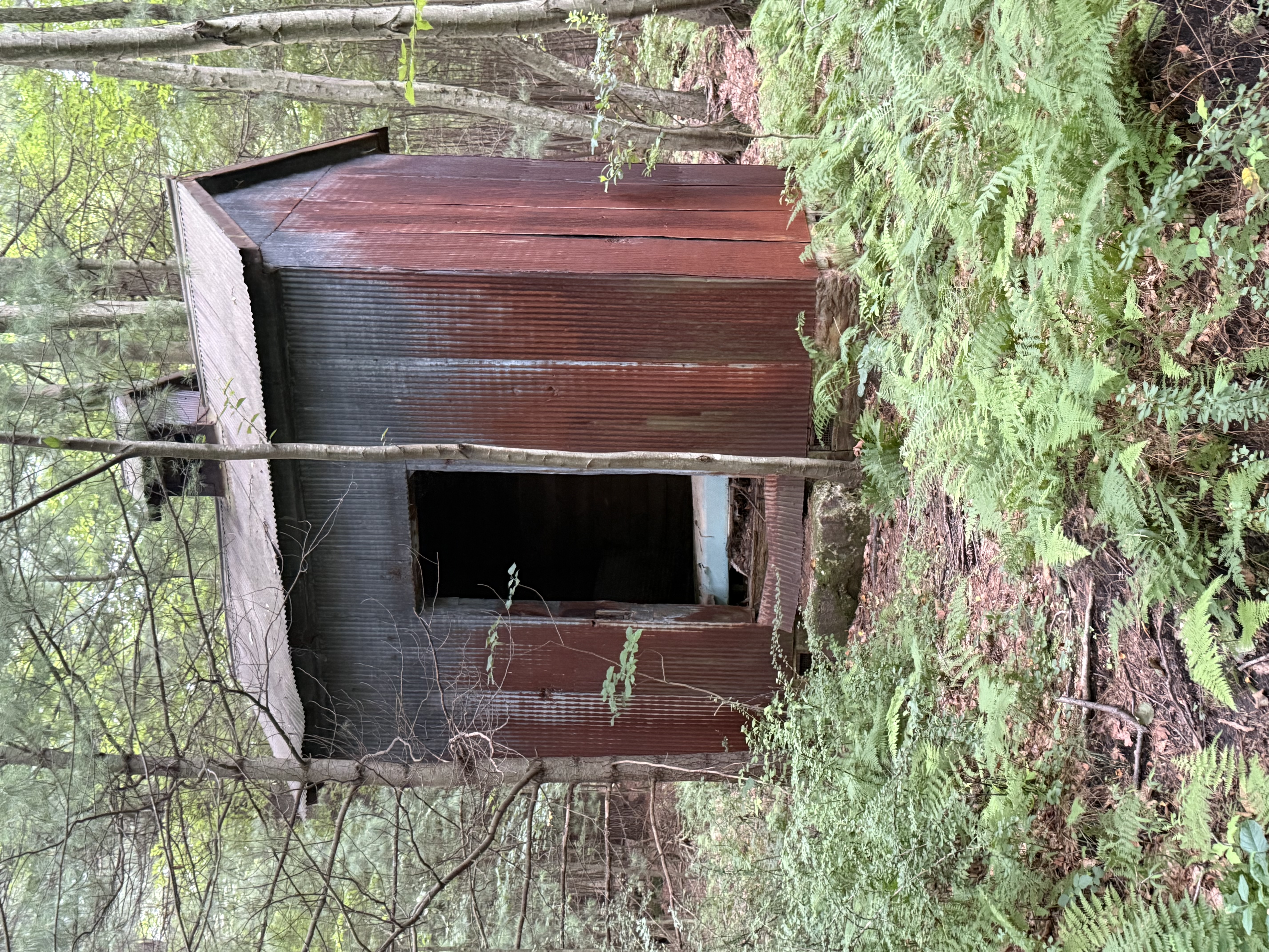 Dynamite Shed image not found