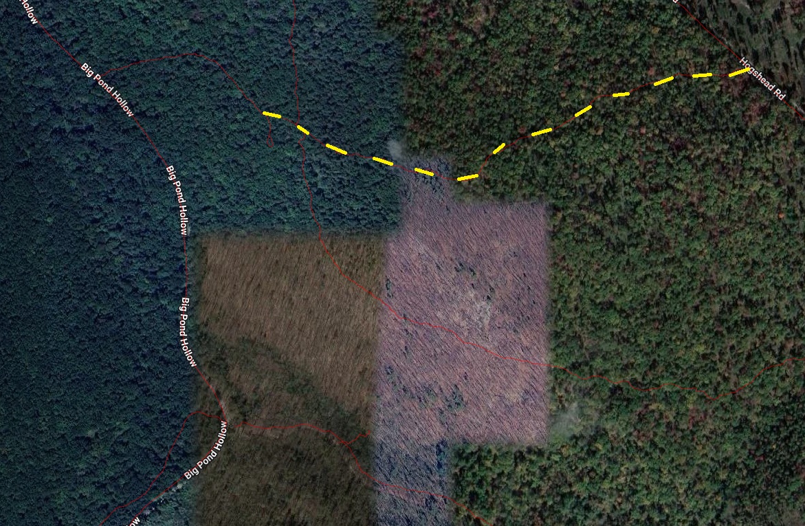 Big Pond trail2 image not found
