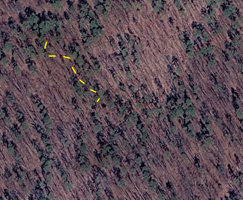 Black Swamp 9 image not found