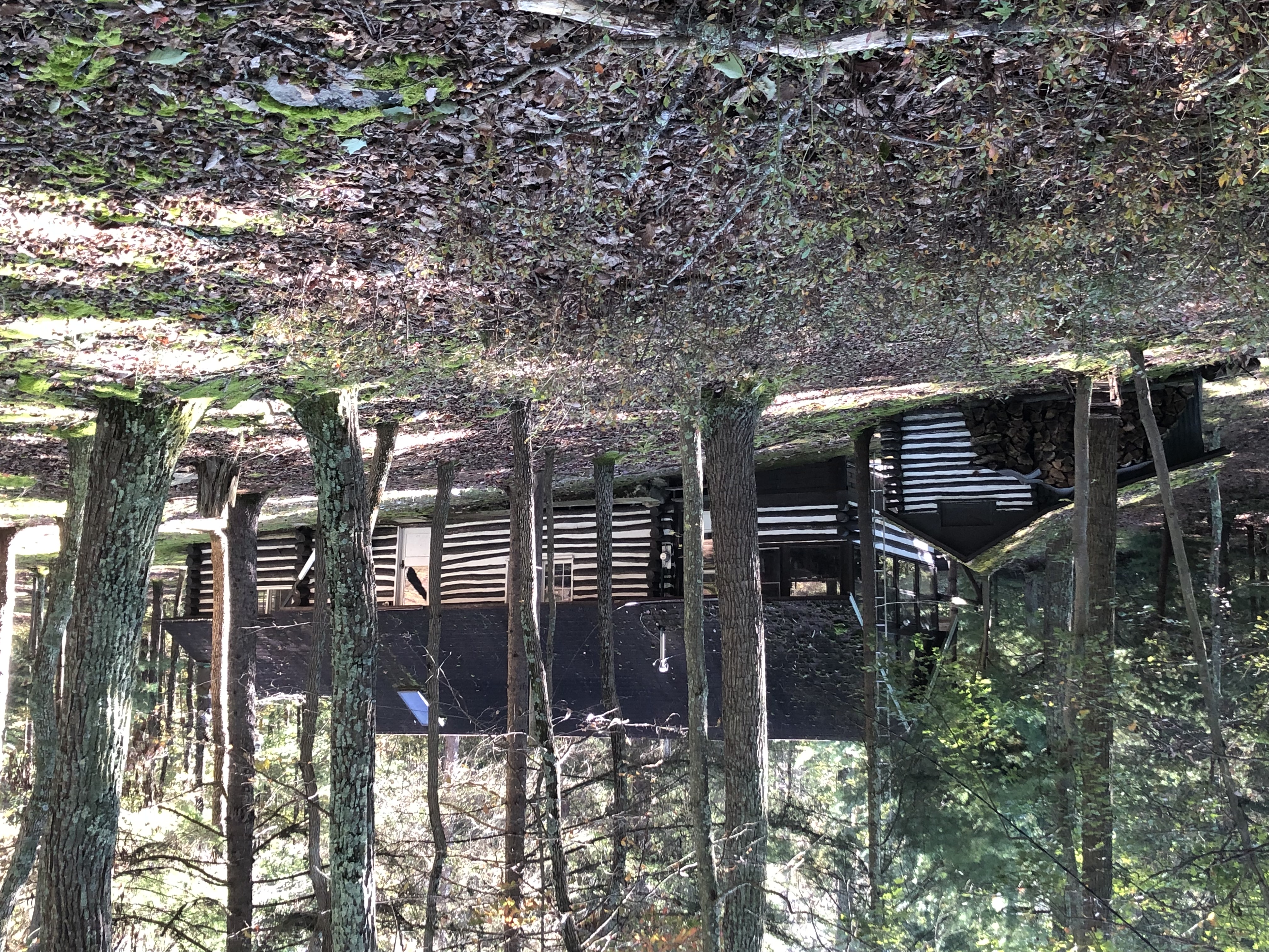cabin