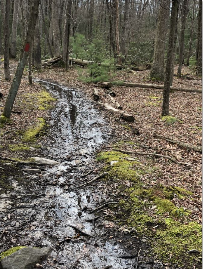 Camps trail