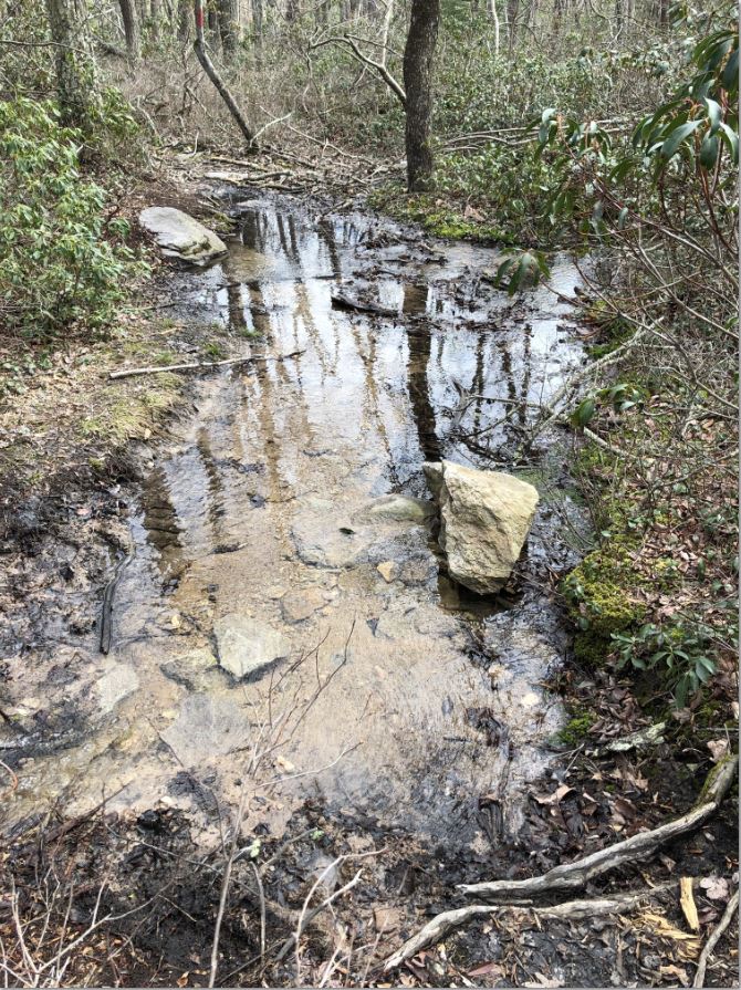 Camps trail