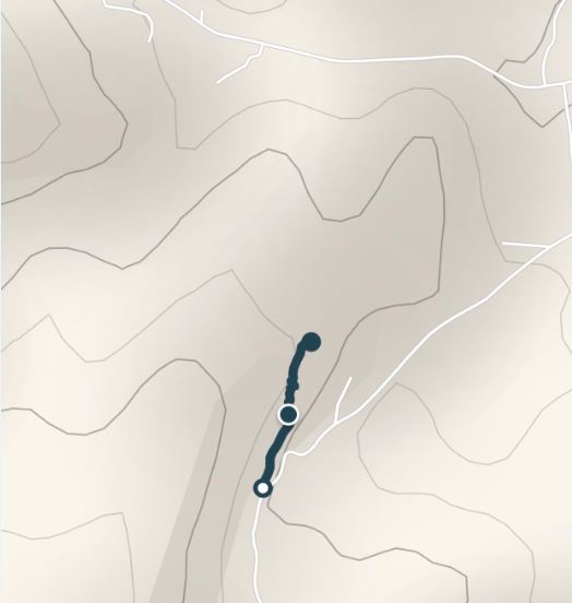 GR Forest Road 1