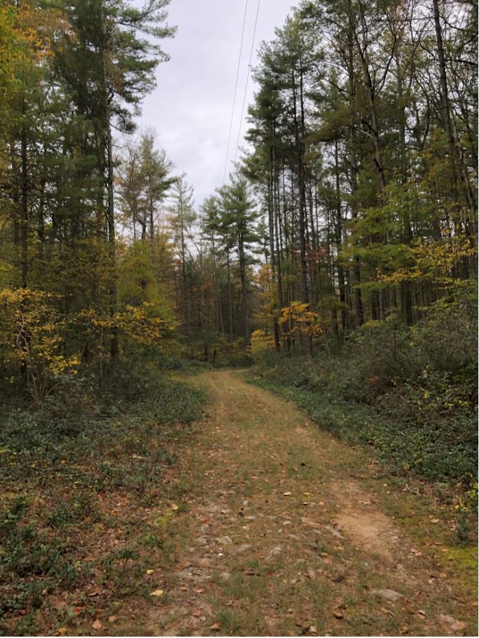 Lindsay Lot road