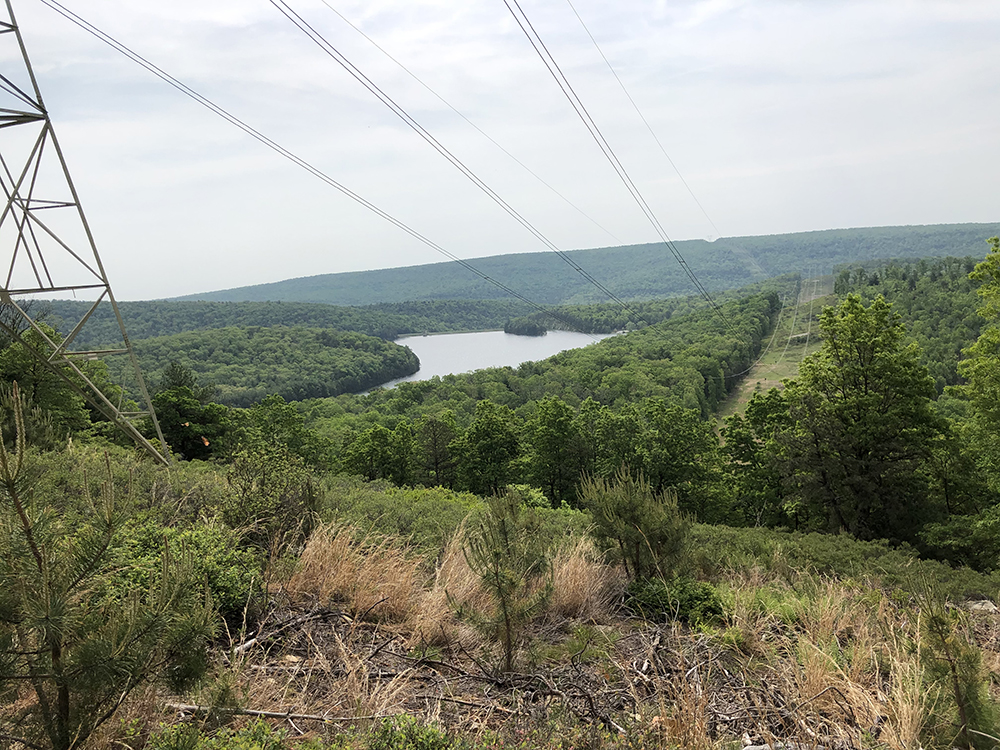overlook