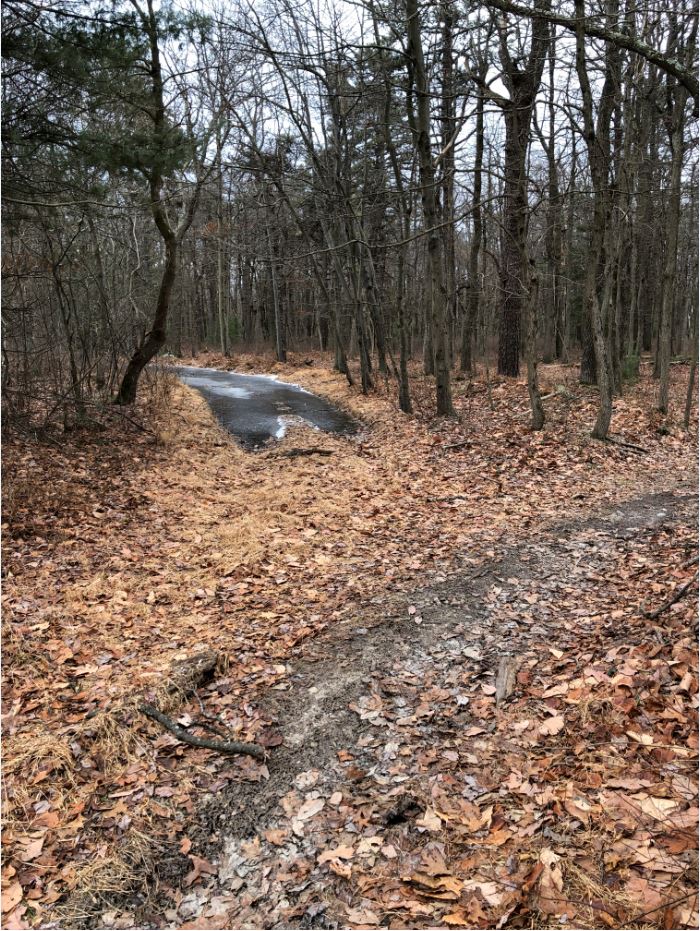 Green Ridge trail 4