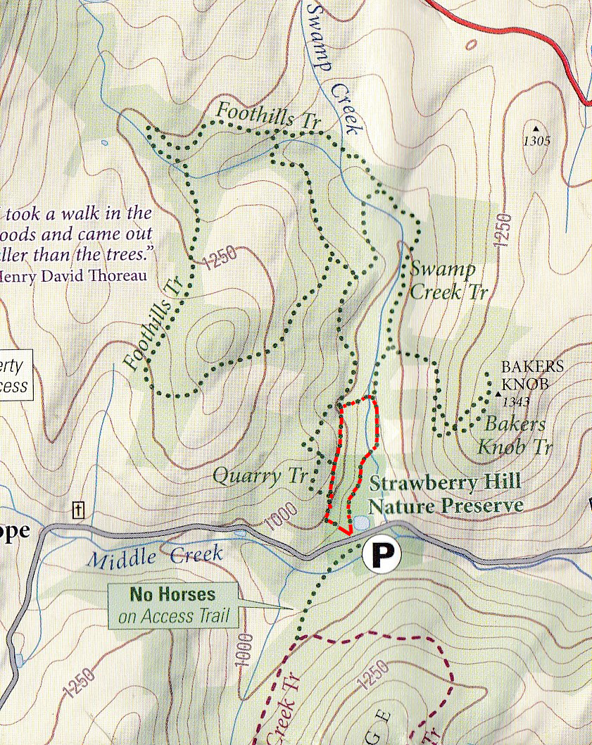 SH Nature trail