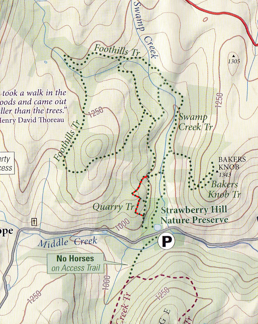 SH Nature trail