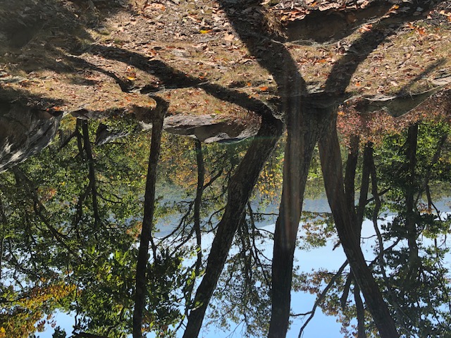 obstructed view