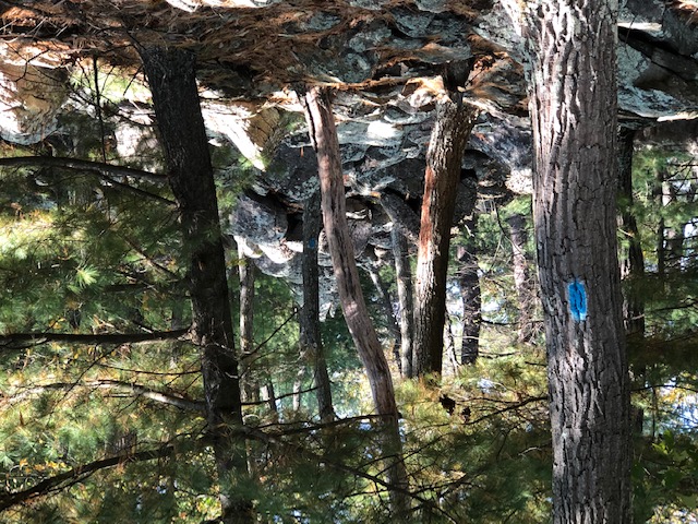 photo2