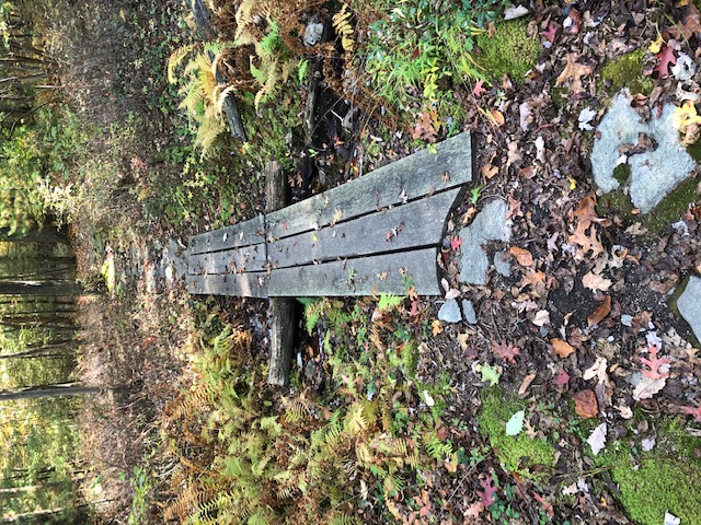 bridge