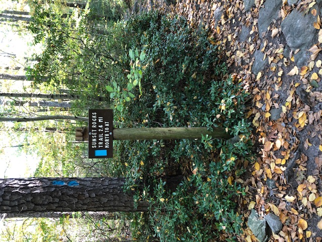 sign