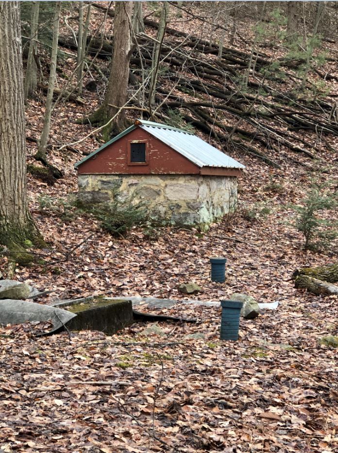 springs