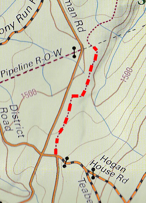 Teaberry trail