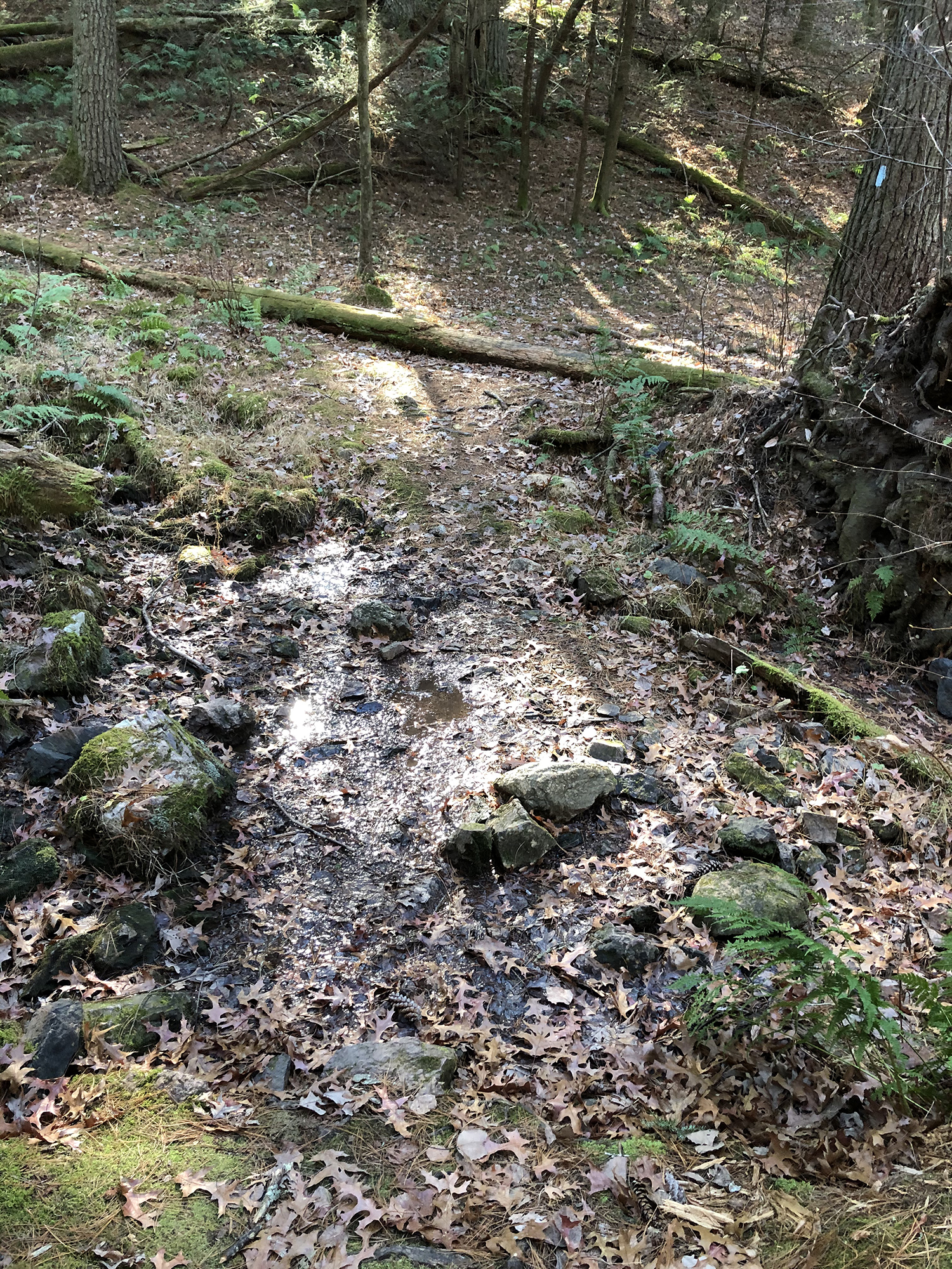 small run