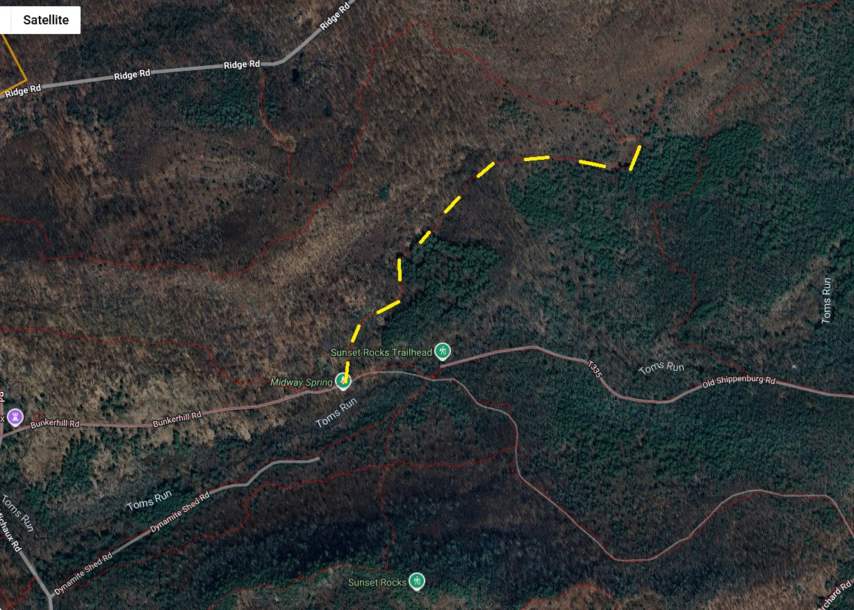 Toms Run Forest road image not found