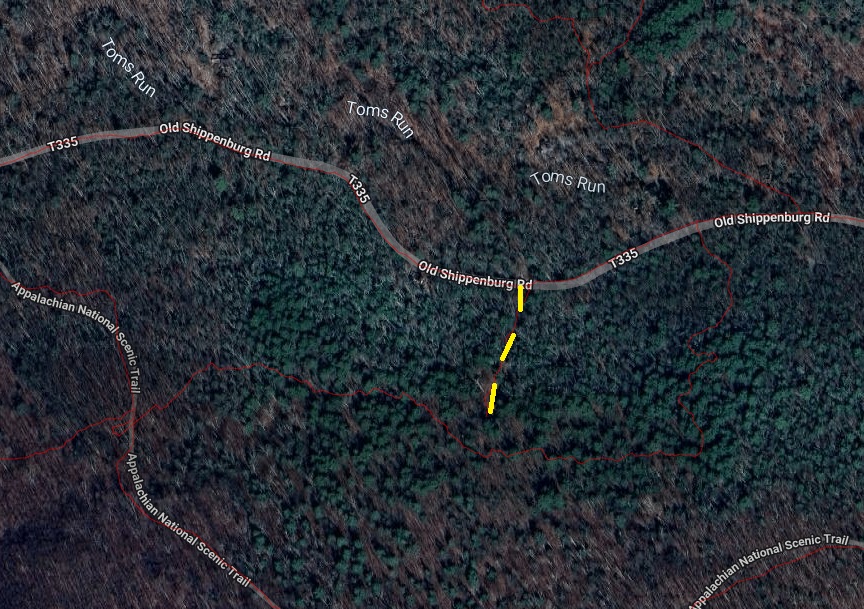Toms Run Forest road 3 image not found