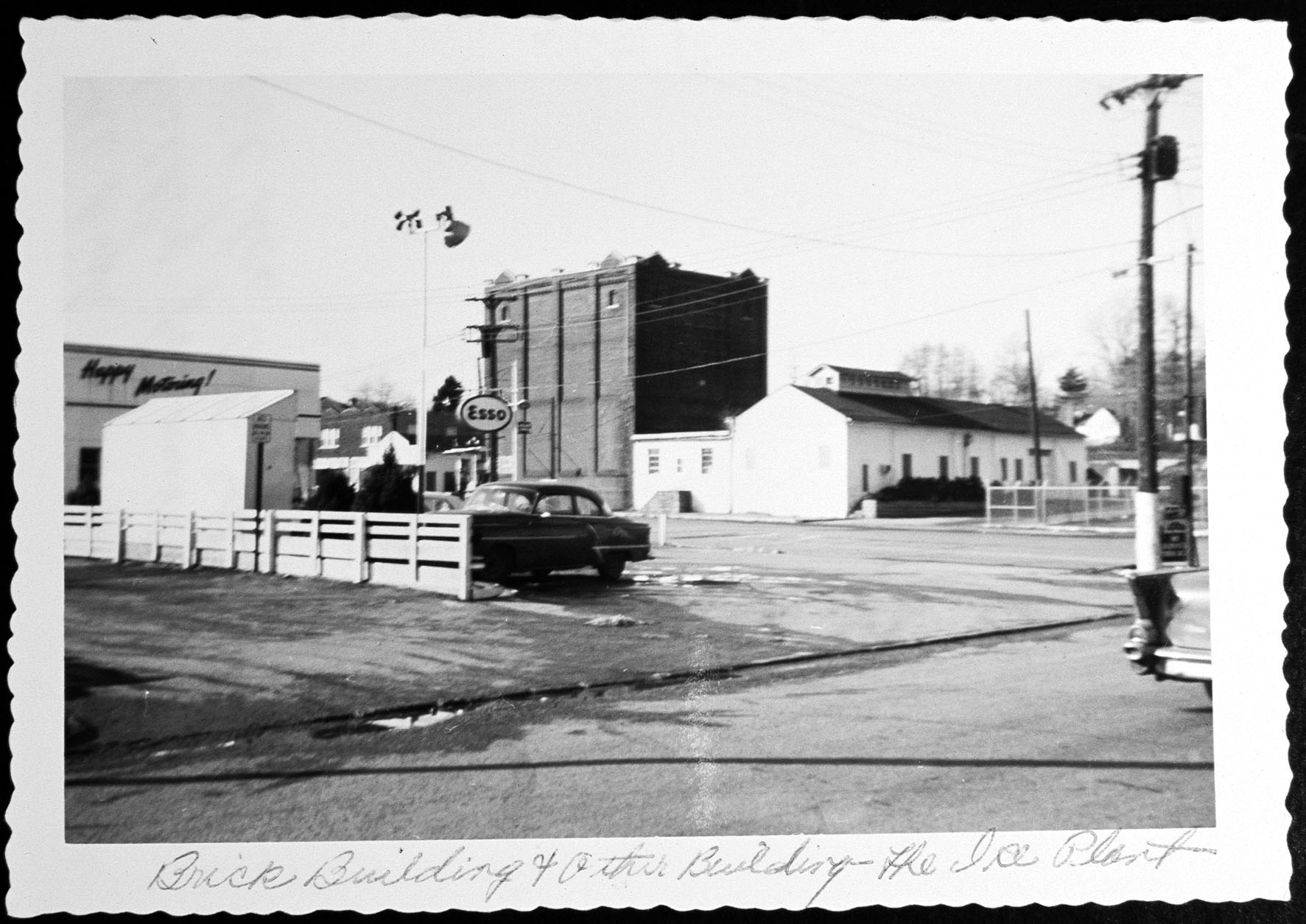Ice plant image not found
