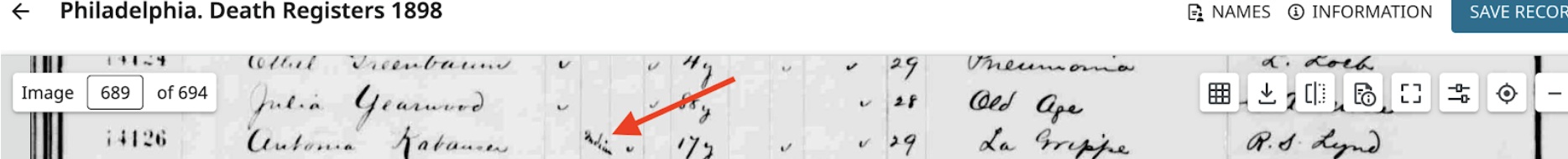 Histogram not found