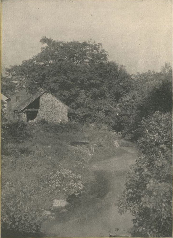 Waterloo Mills